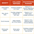 Powder Multivitamin Tub - Orange Burst